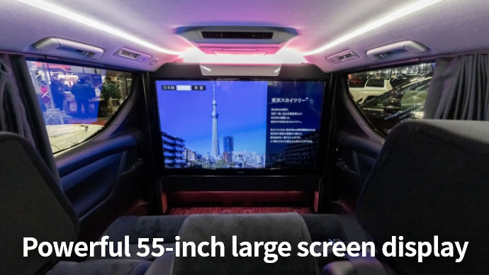 Powerful 55-inch large screen display