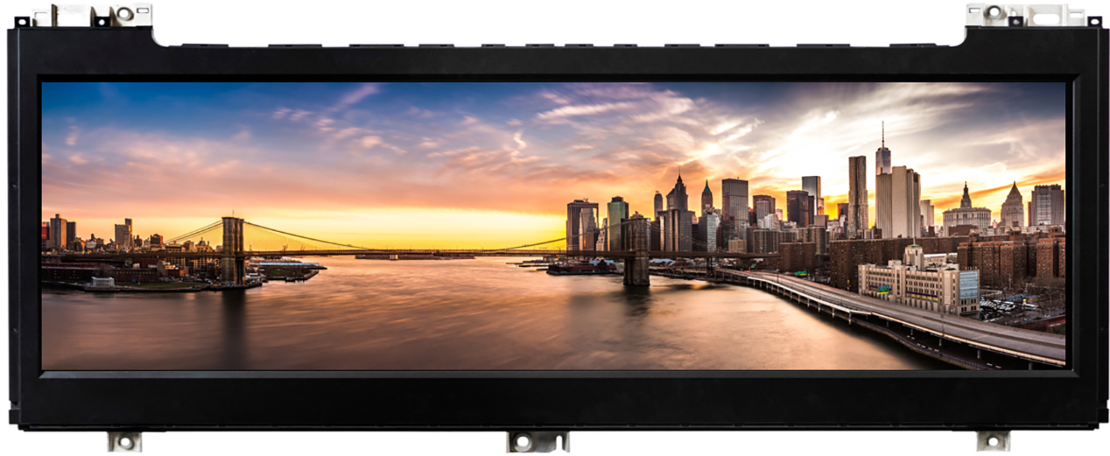 当社リリースの写真