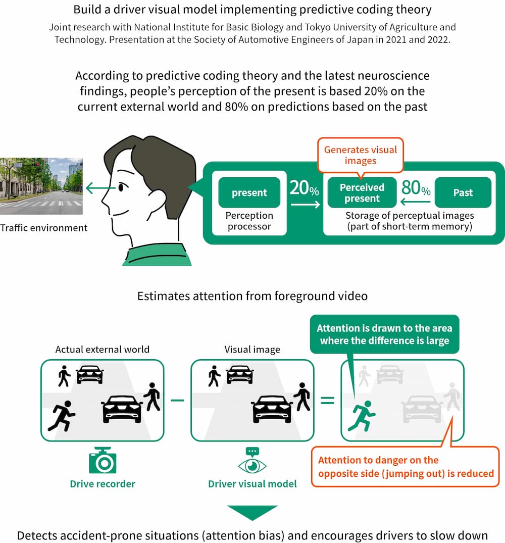 Build a driver visual model implementing predictive coding theory